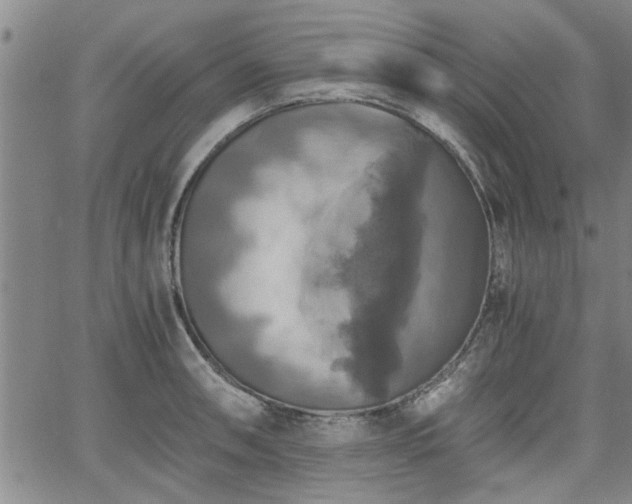 X0000058781090200510031014