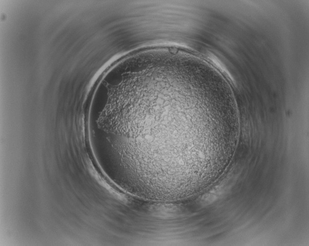 X0000058781092200510031014