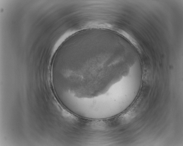 X0000058781094200510031014