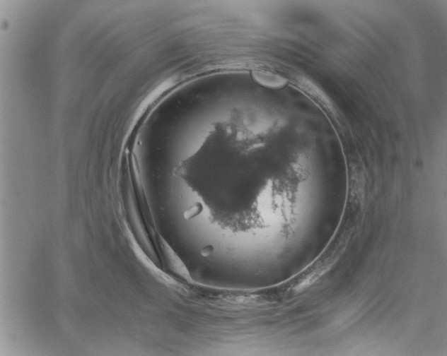 X0000058781095200510031014