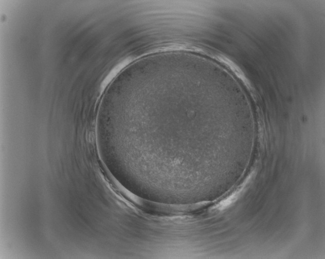 X0000058781097200510031014