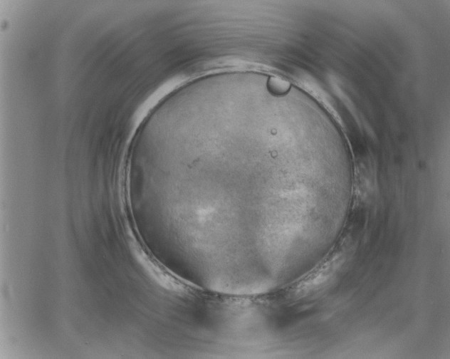 X0000058781098200510031014