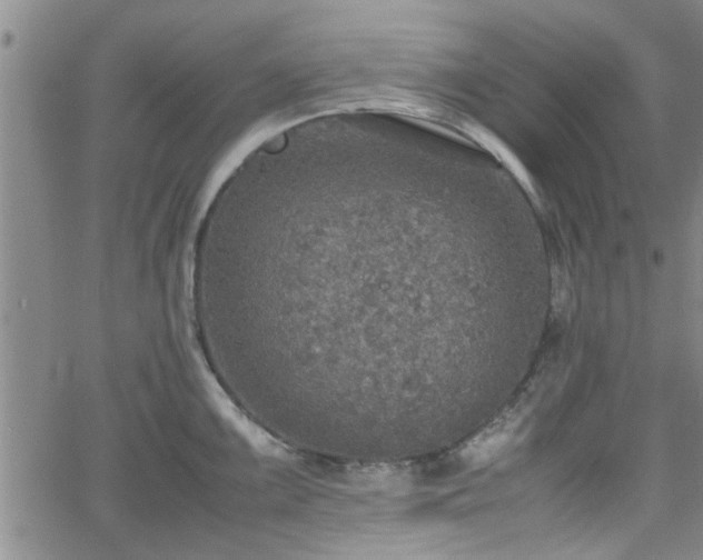 X0000058781099200510031014