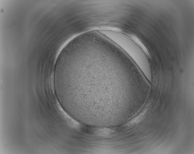 X0000058781100200510031014