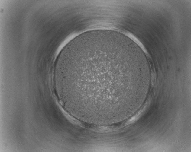 X0000058781101200510031013