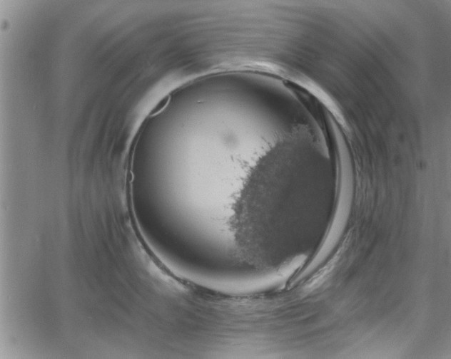 X0000058781102200510031013