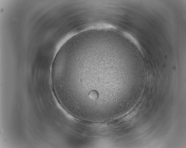 X0000058781103200510031013