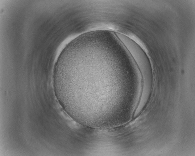 X0000058781104200510031013