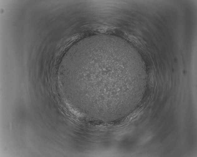 X0000058781105200510031013