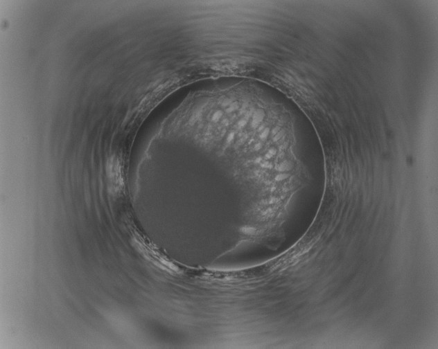 X0000058781106200510031013