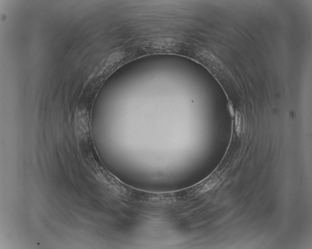 X0000058781107200510031013