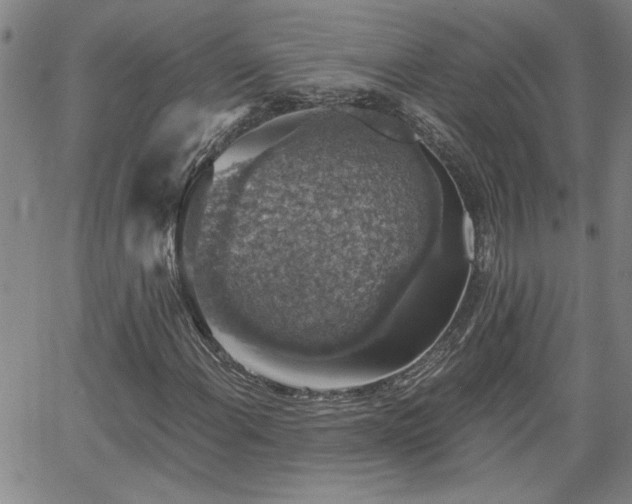 X0000058781108200510031013