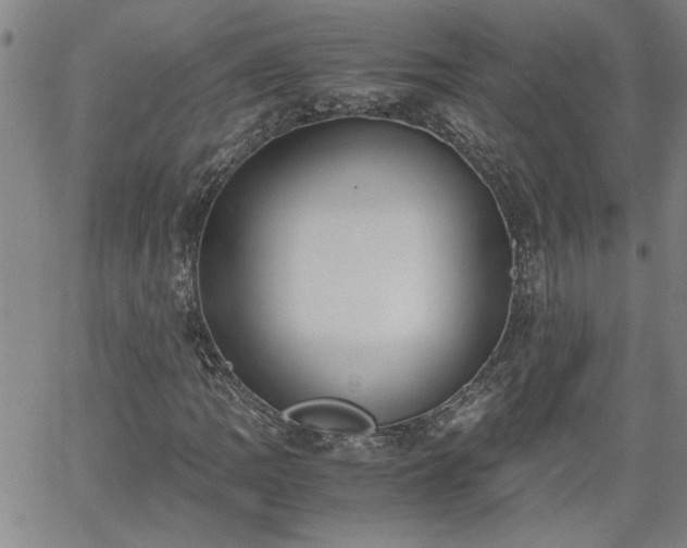 X0000058781109200510031013