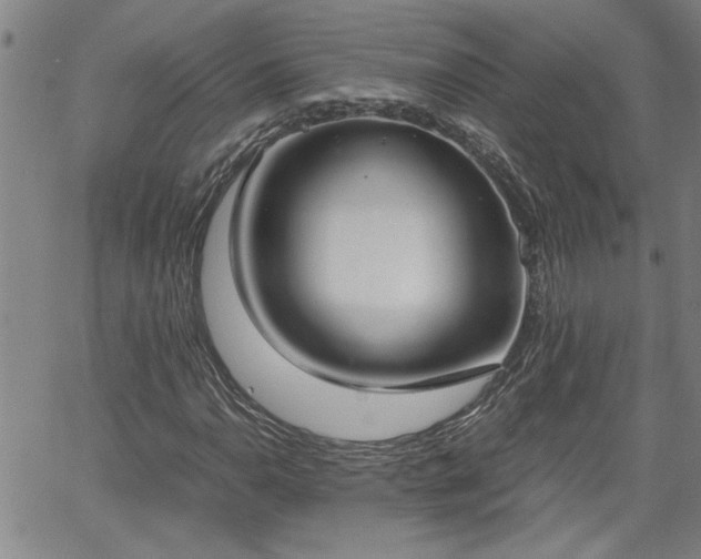 X0000058781110200510031013