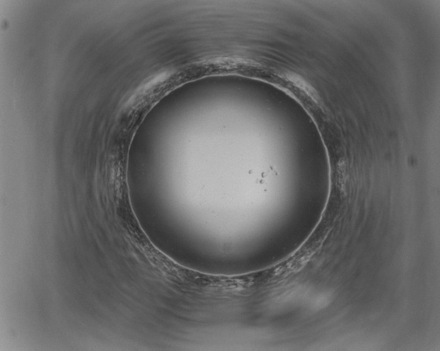 X0000058781111200510031013