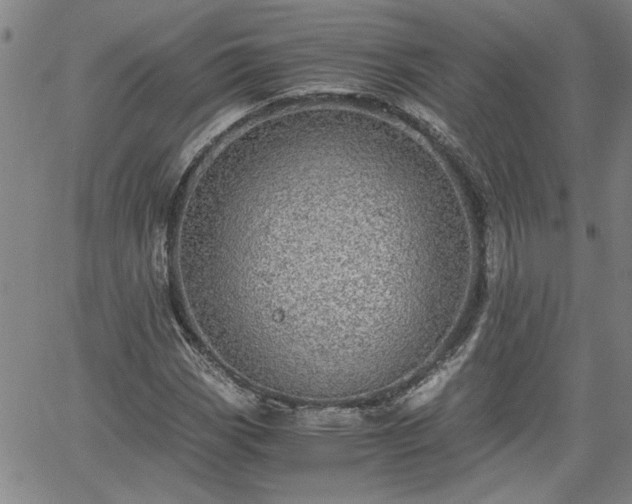 X0000058781113200510031013