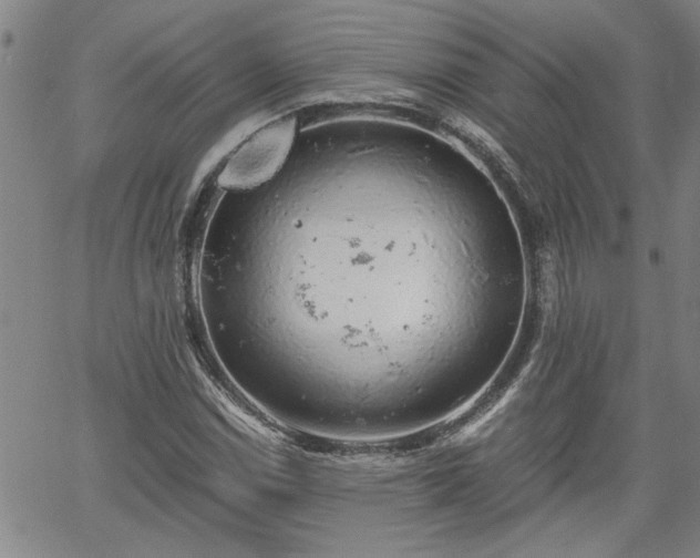 X0000058781114200510031013