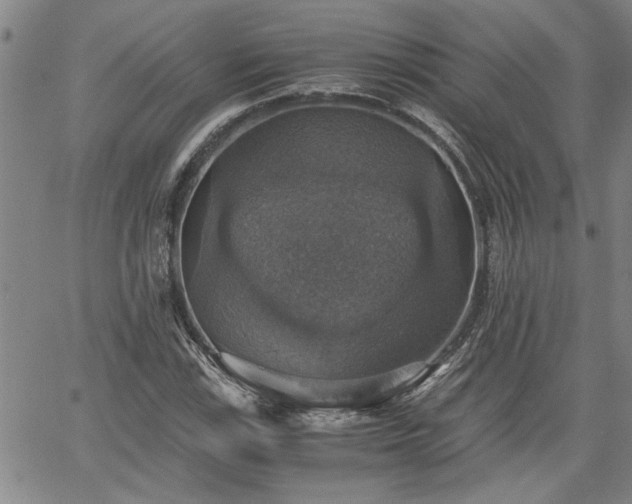 X0000058781115200510031013