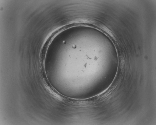 X0000058781116200510031013