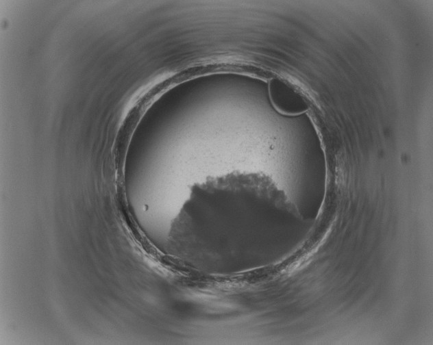 X0000058781117200510031013