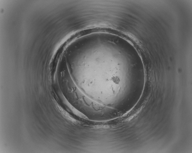 X0000058781118200510031013