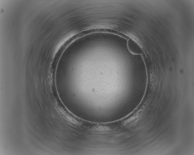 X0000058781119200510031013