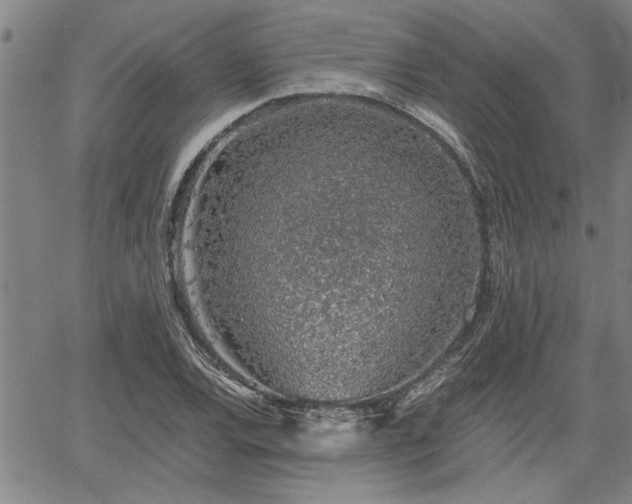 X0000058781120200510031013