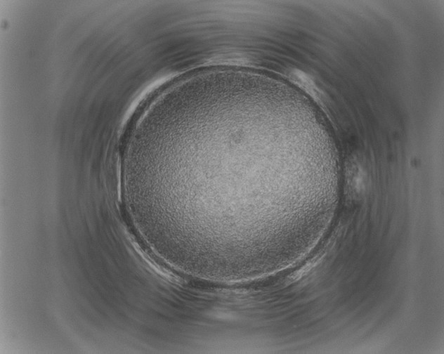 X0000058781123200510031013