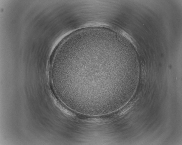 X0000058781124200510031013