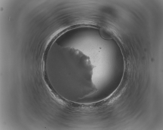 X0000058781125200510031013