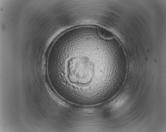 X0000058781126200510031013