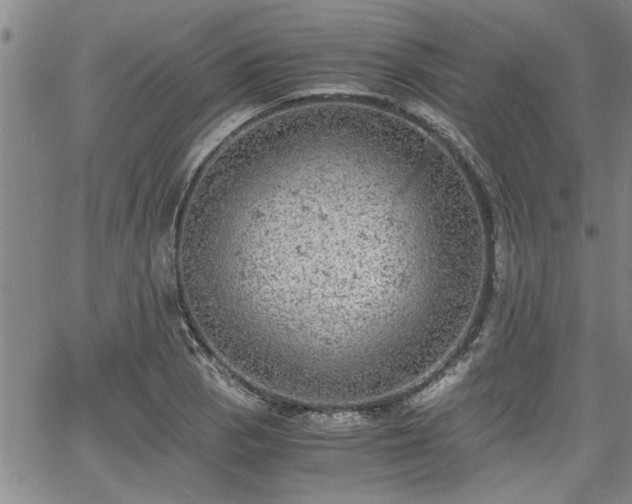 X0000058781129200510031013