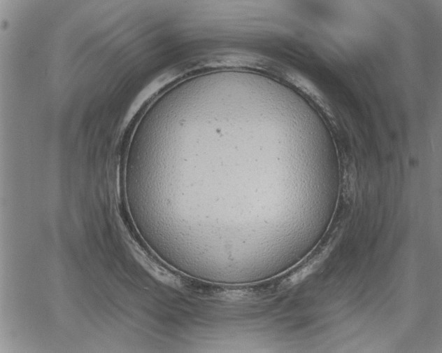 X0000058781130200510031013