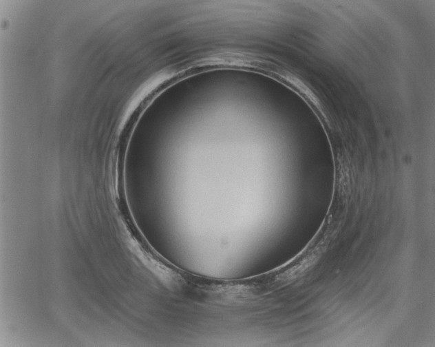 X0000058781131200510031013