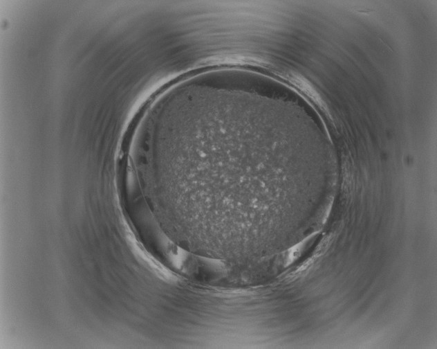 X0000058781132200510031013