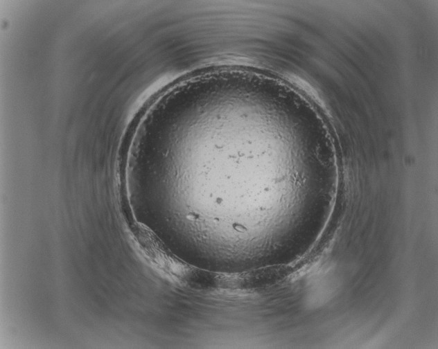 X0000058781133200510031013