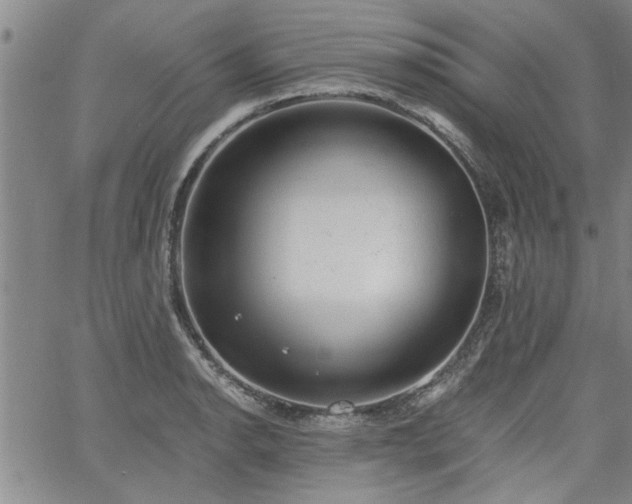 X0000058781134200510031013