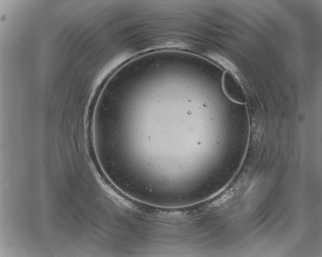 X0000058781135200510031013