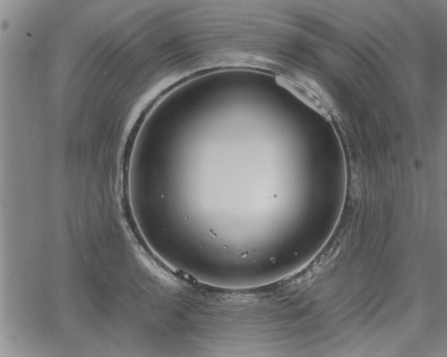 X0000058781136200510031013