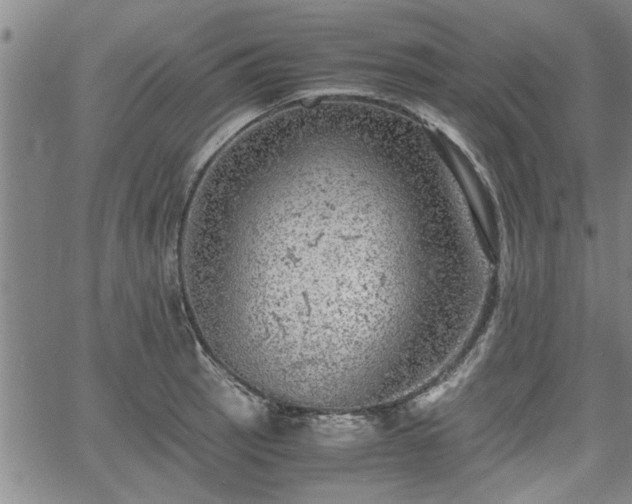 X0000058781137200510031013