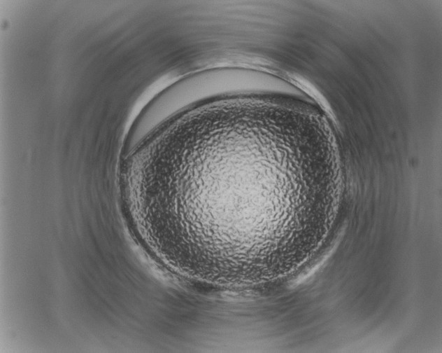 X0000058781138200510031013