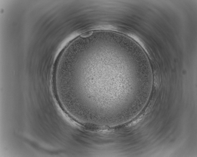 X0000058781139200510031013