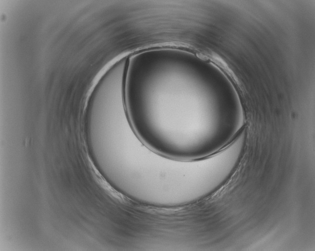 X0000058781140200510031013