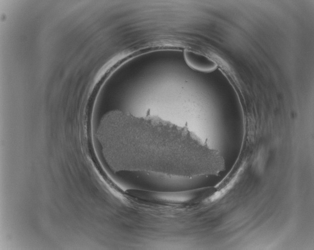 X0000058781141200510031013