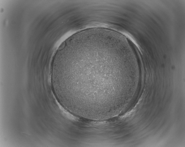 X0000058781143200510031013