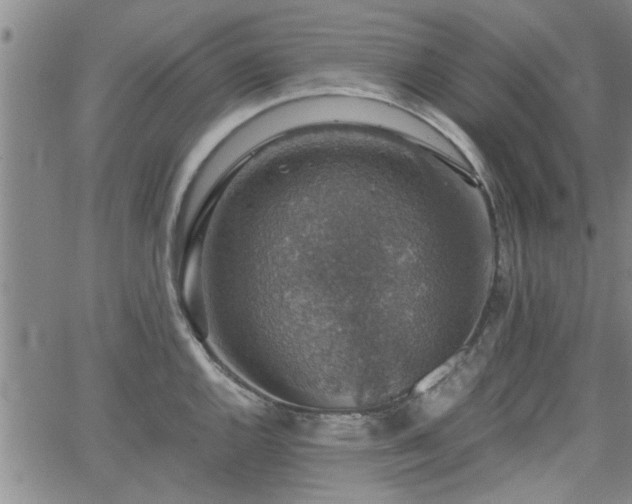 X0000058781144200510031013