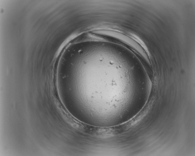 X0000058781146200510031013