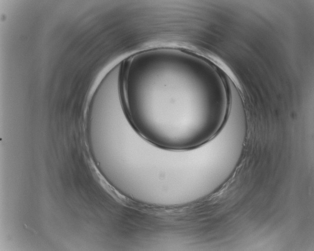 X0000058781148200510031013