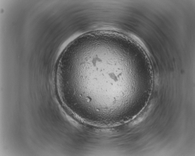 X0000058781149200510031013