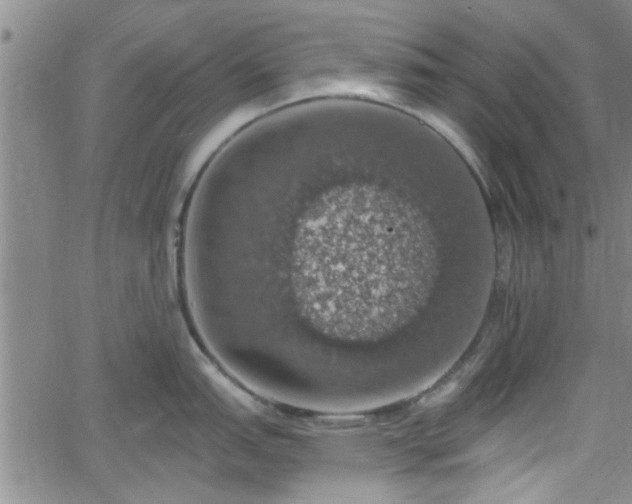 X0000058781151200510031013